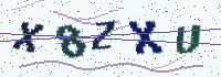 Picture with a code of distorted letters and digits