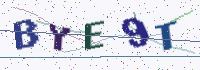 Picture with a code of distorted letters and digits