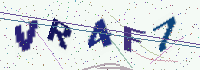 Picture with a code of distorted letters and digits
