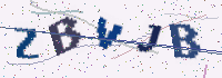 Picture with a code of distorted letters and digits