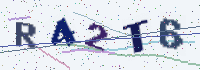 Picture with a code of distorted letters and digits