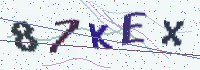 Picture with a code of distorted letters and digits